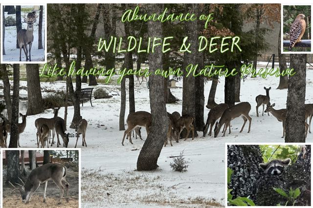 8004 County Road 2412, Quinlan, TX 75474