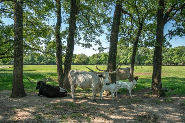 8004 County Road 2412, Quinlan, TX 75474