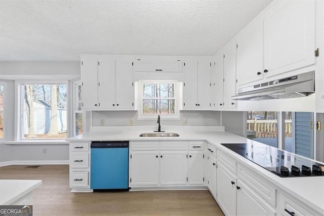 8976 Ochil Lane, Winston, GA 30187