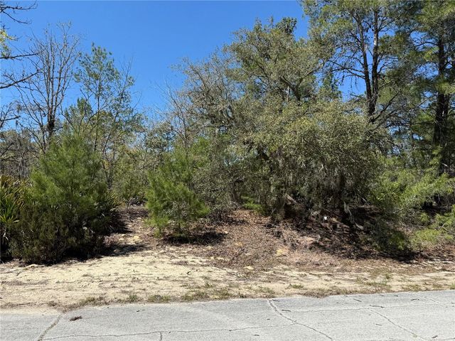 10762 N MORENO DRIVE, Dunnellon, FL 34433