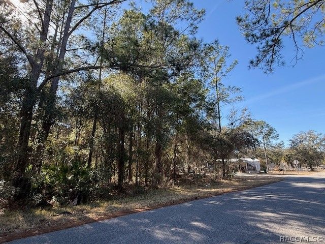 4280 E Nugget Pass Place, Dunnellon, FL 34434