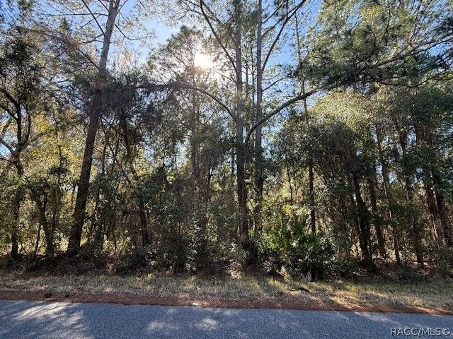 4280 E Nugget Pass Place, Dunnellon, FL 34434