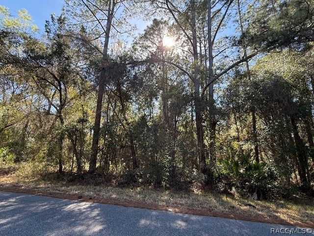 4280 E Nugget Pass Place, Dunnellon, FL 34434