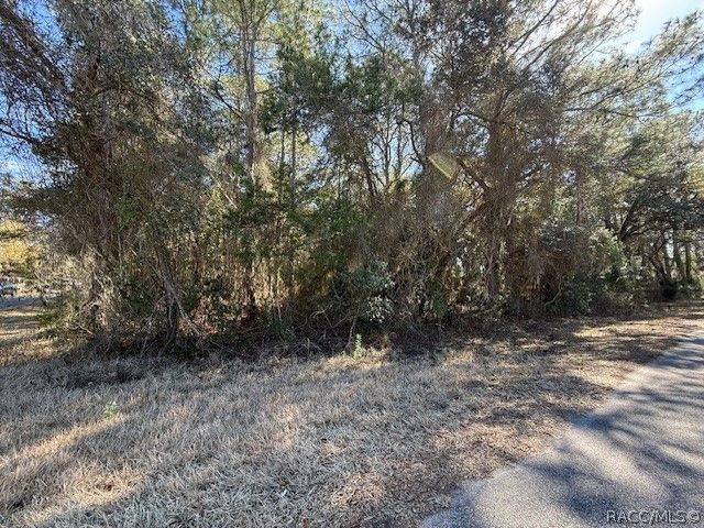 4280 E Nugget Pass Place, Dunnellon, FL 34434