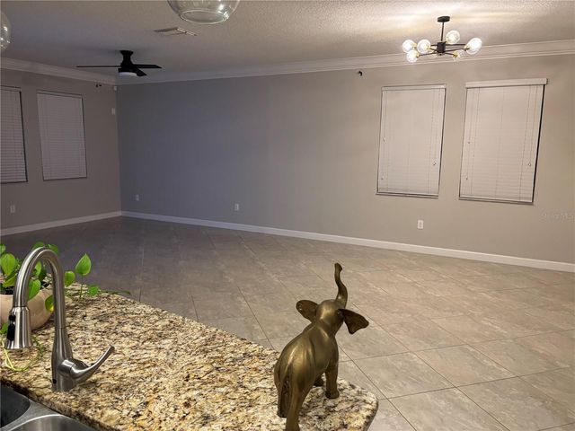 12008 CARDINAL FLOWER DRIVE, Riverview, FL 33579