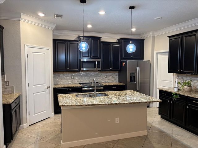12008 CARDINAL FLOWER DRIVE, Riverview, FL 33579