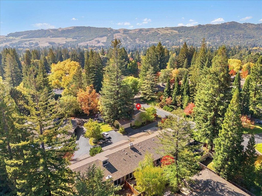 Image 57 of property listing at 441 SYCAMORE HILL DR, Danville, CA 94526