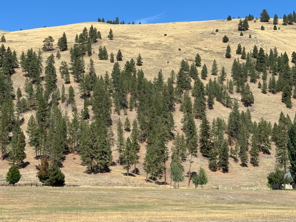 9883 Hatton Lane, Lolo, MT 59847 photo 35