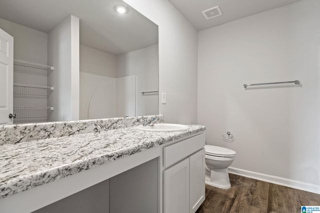 156 BUCKHORN LANE, Lincoln, AL 35096