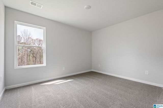 156 BUCKHORN LANE, Lincoln, AL 35096