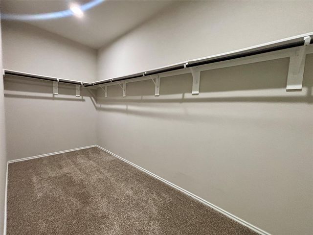 12241 Trumpetfish Drive, Conroe, TX 77304