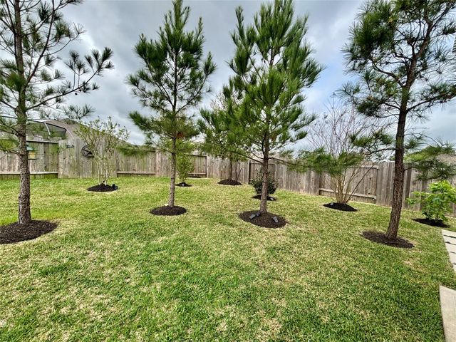 12241 Trumpetfish Drive, Conroe, TX 77304