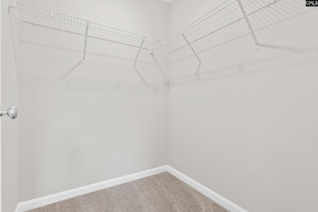 146 Cape Horn Drive, Columbia, SC 29209