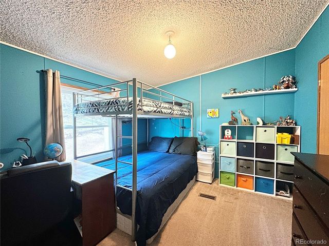45 La Abu Trl, Florissant, CO 80816