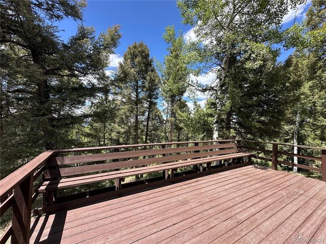 45 La Abu Trl, Florissant, CO 80816