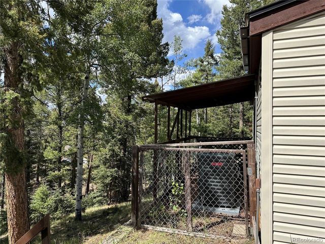 45 La Abu Trl, Florissant, CO 80816