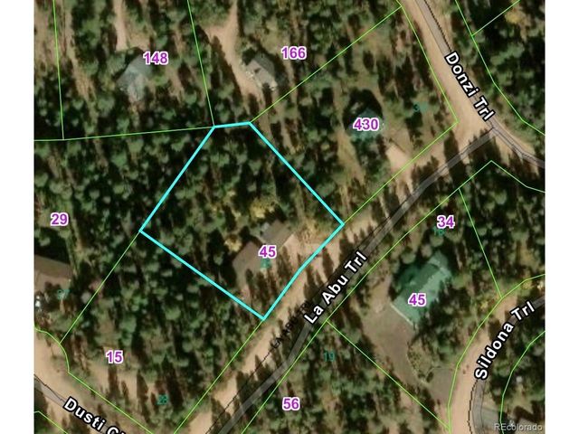 45 La Abu Trl, Florissant, CO 80816