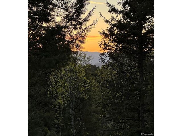 45 La Abu Trl, Florissant, CO 80816