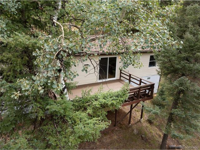 45 La Abu Trl, Florissant, CO 80816
