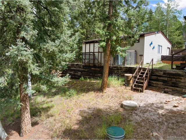 45 La Abu Trl, Florissant, CO 80816