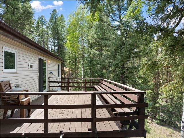 45 La Abu Trl, Florissant, CO 80816