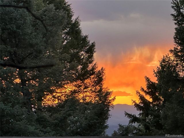 45 La Abu Trl, Florissant, CO 80816