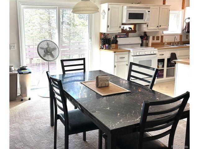 45 La Abu Trl, Florissant, CO 80816