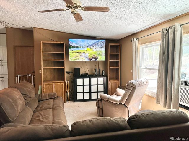 45 La Abu Trl, Florissant, CO 80816