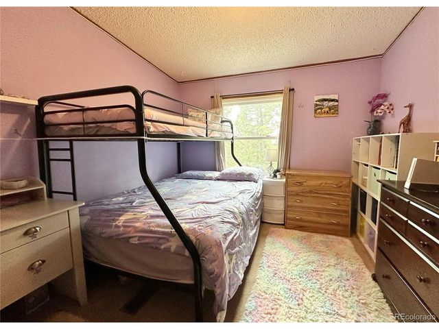 45 La Abu Trl, Florissant, CO 80816