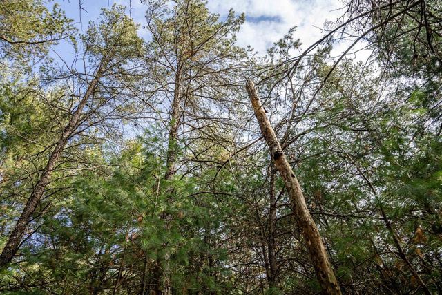 Lot 38 S Badger Lane, Arkdale, WI 54613