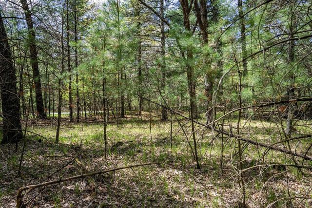 Lot 38 S Badger Lane, Arkdale, WI 54613