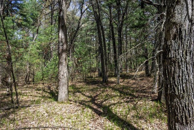 Lot 38 S Badger Lane, Arkdale, WI 54613