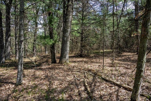 Lot 38 S Badger Lane, Arkdale, WI 54613