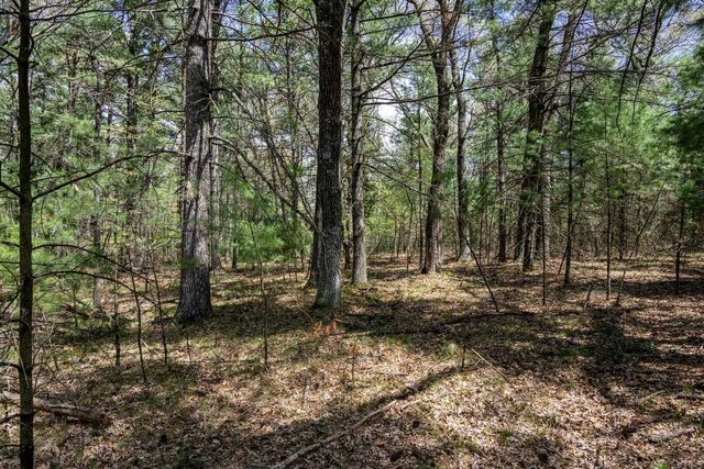 Lot 38 S Badger Lane, Arkdale, WI 54613