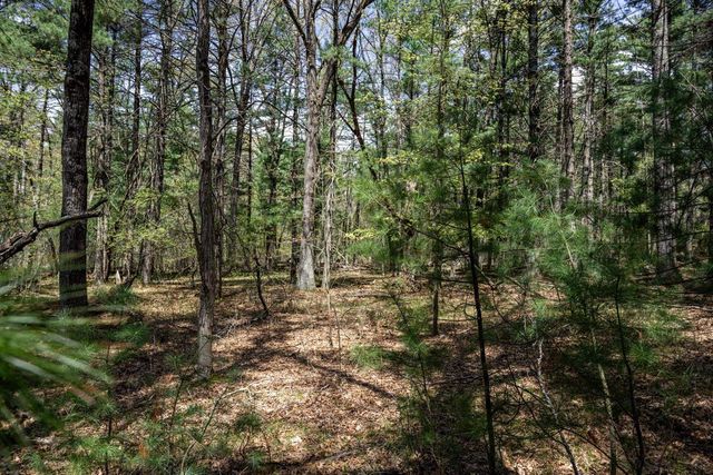 Lot 38 S Badger Lane, Arkdale, WI 54613