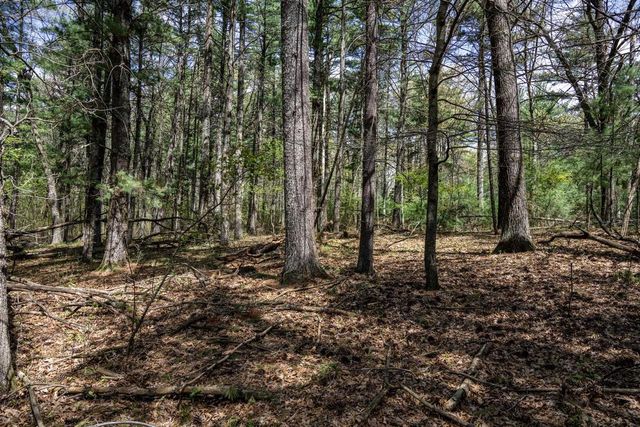Lot 38 S Badger Lane, Arkdale, WI 54613