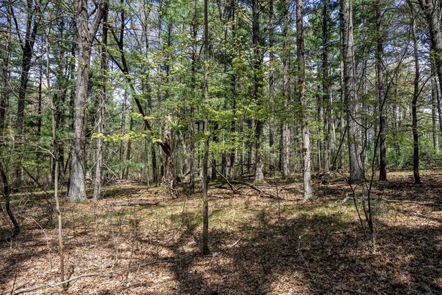 Lot 38 S Badger Lane, Arkdale, WI 54613