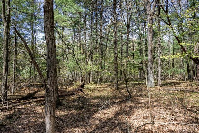Lot 38 S Badger Lane, Arkdale, WI 54613