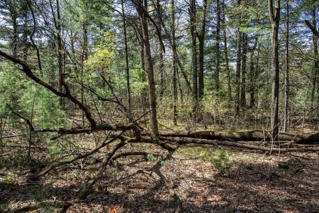 Lot 38 S Badger Lane, Arkdale, WI 54613
