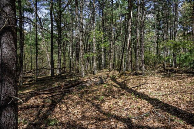 Lot 38 S Badger Lane, Arkdale, WI 54613