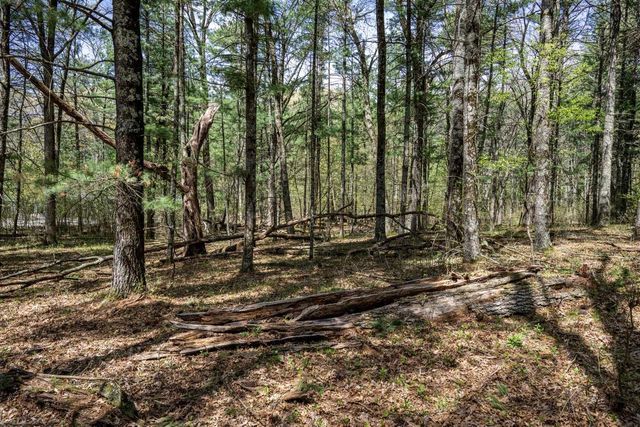 Lot 38 S Badger Lane, Arkdale, WI 54613