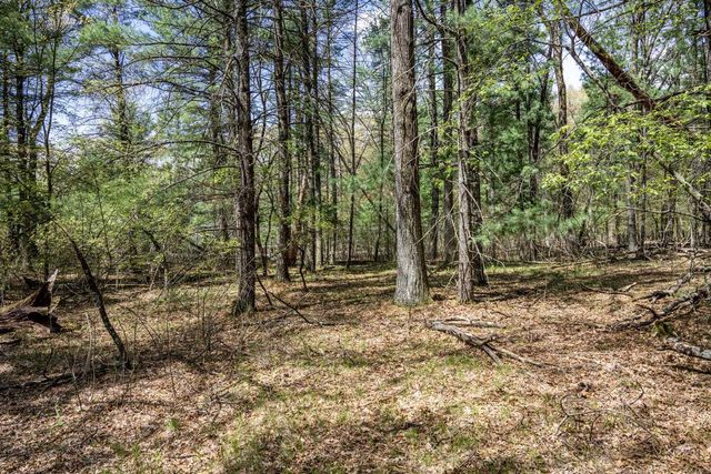 Lot 38 S Badger Lane, Arkdale, WI 54613