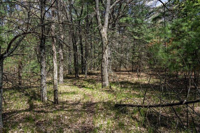 Lot 38 S Badger Lane, Arkdale, WI 54613