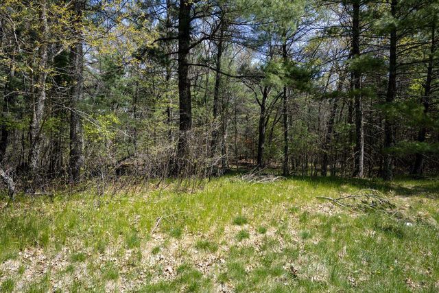 Lot 38 S Badger Lane, Arkdale, WI 54613