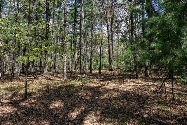 Lot 38 S Badger Lane, Arkdale, WI 54613