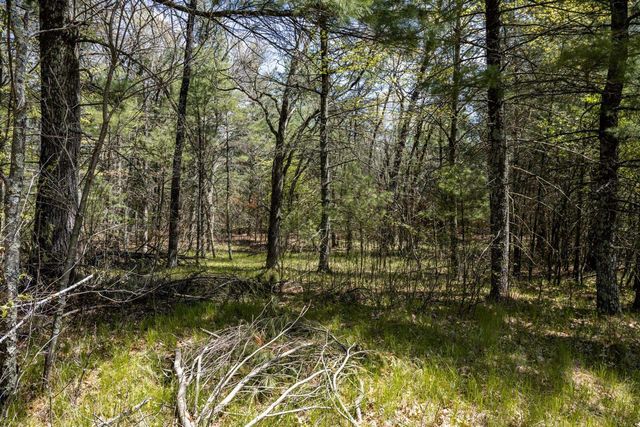 Lot 38 S Badger Lane, Arkdale, WI 54613