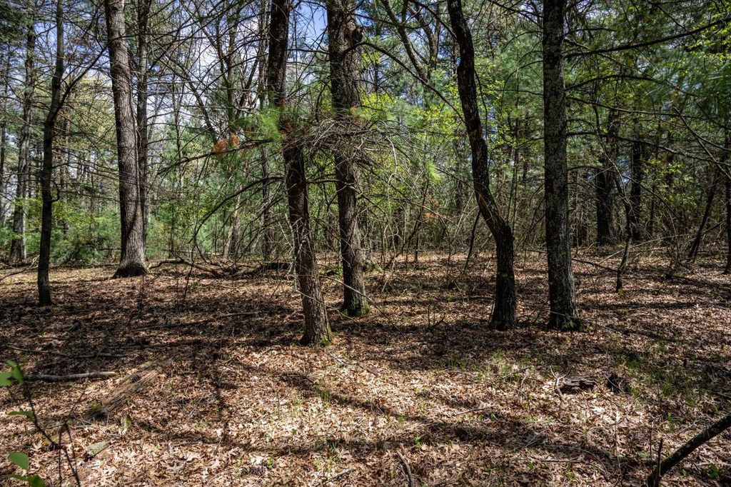 Lot 38 S Badger Lane, Arkdale, WI 54613