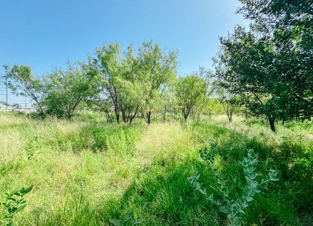 3105 Morris Sheppard Drive, Brownwood, TX 76801