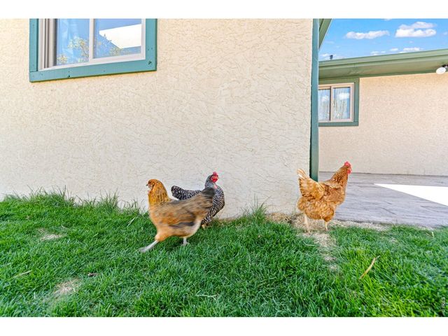 6701 Orchard Dr, Loveland, CO 80538