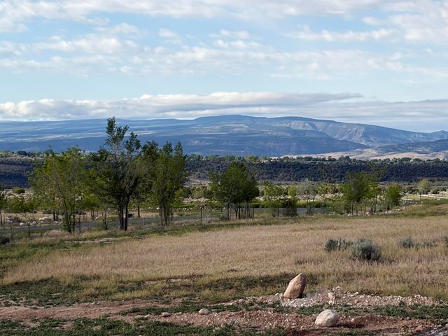 15887 Stardust Lane, Cedaredge, CO 81413